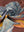 imagepopulate1