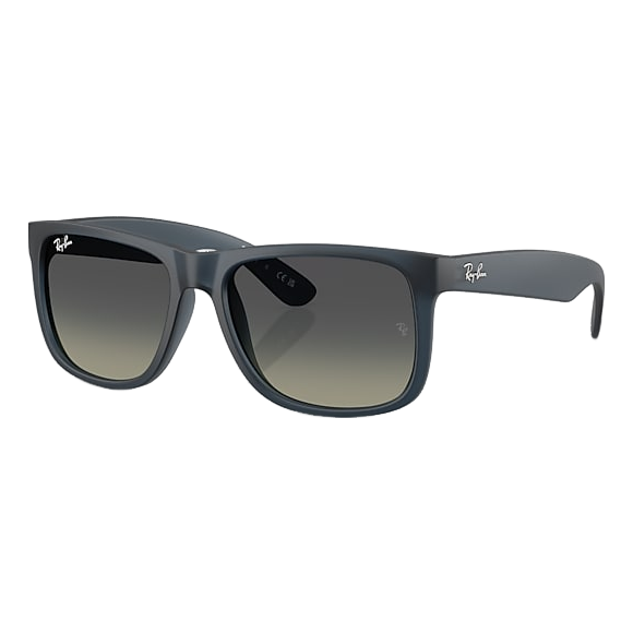 Ray-Ban Justin Sunglasses