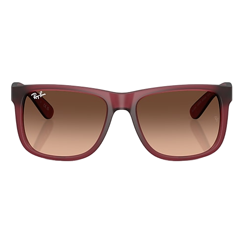 Ray-Ban Justin Sunglasses