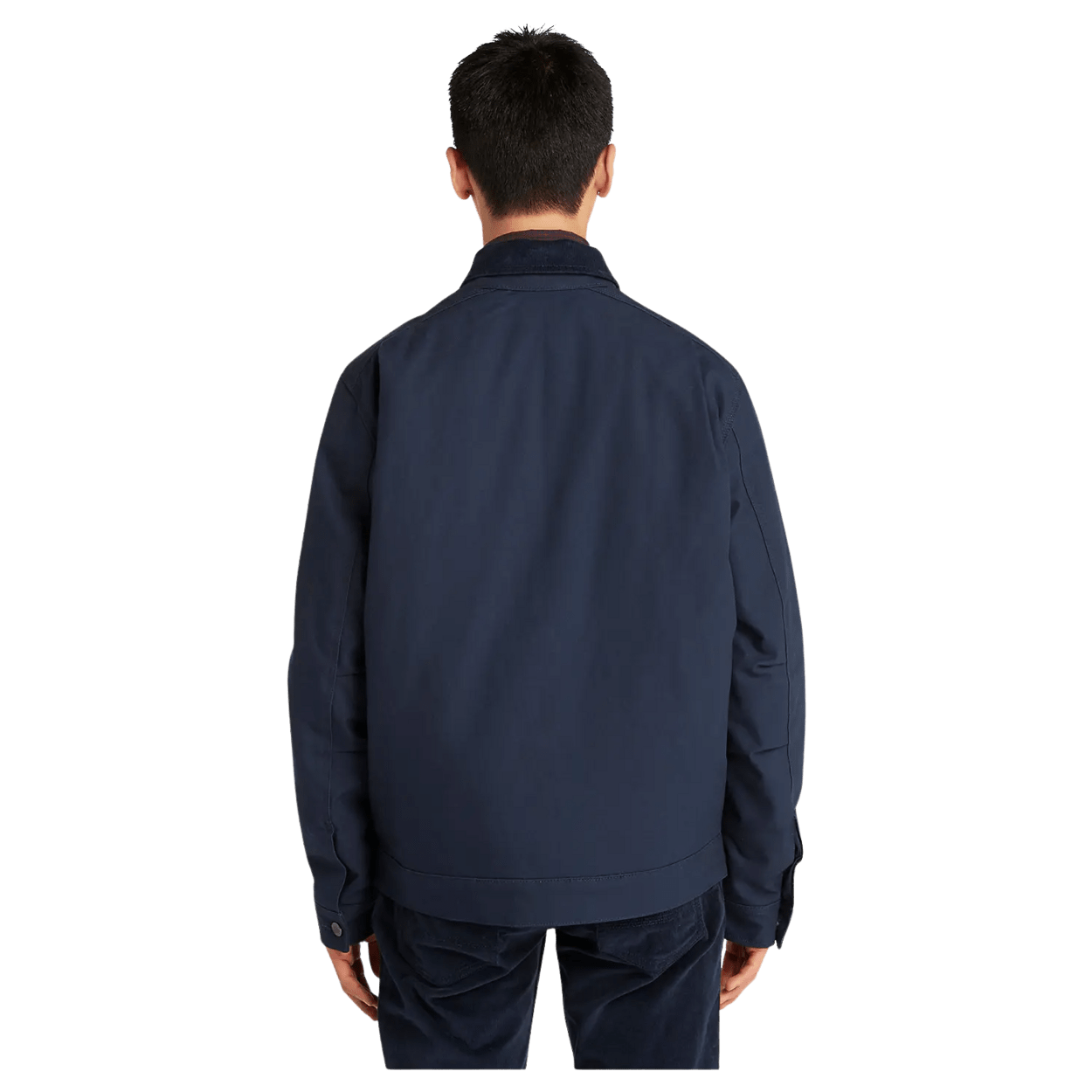 Timberland Strafford Insulated Jacket For Men Coes