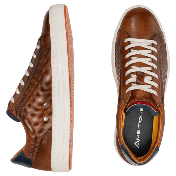 Ambitious Anopolis Leather Trainers
