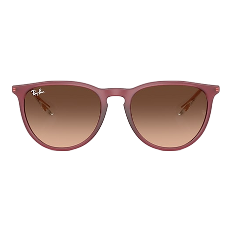 Ray-Ban Erika Sunglasses