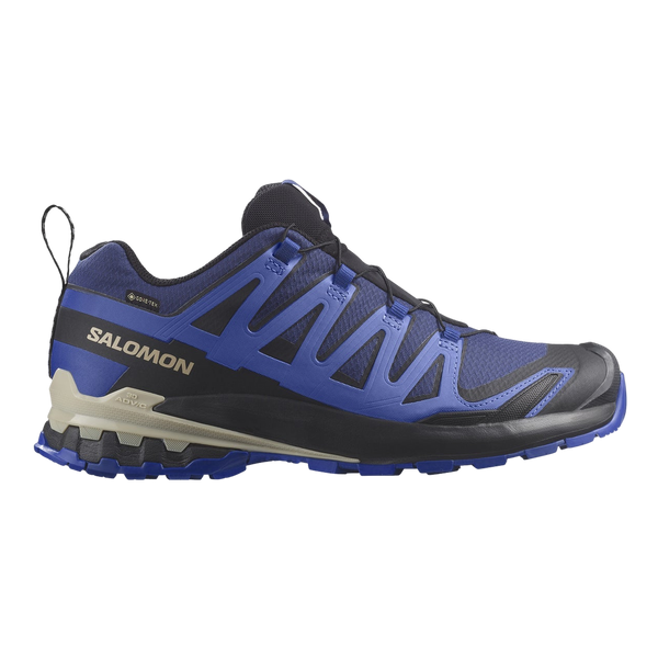Salomon XA Pro 3D V9 GTX Walking Shoes