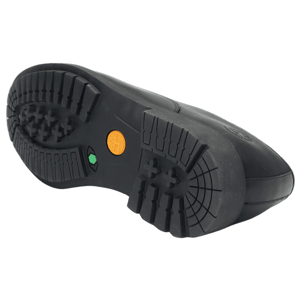 Timberland Stormbucks Shoe