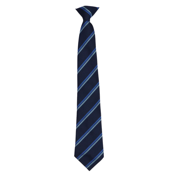 East Bergholt High School Tie