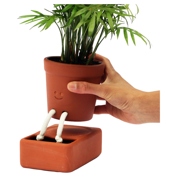 Pikkii Self Care Planter