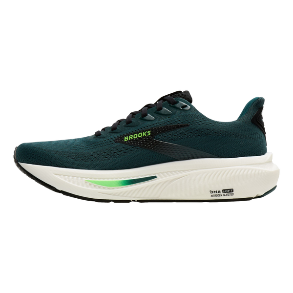 Brooks Ghost 17