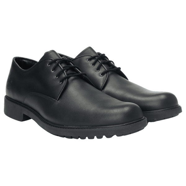 Timberland Stormbucks Shoe for Men