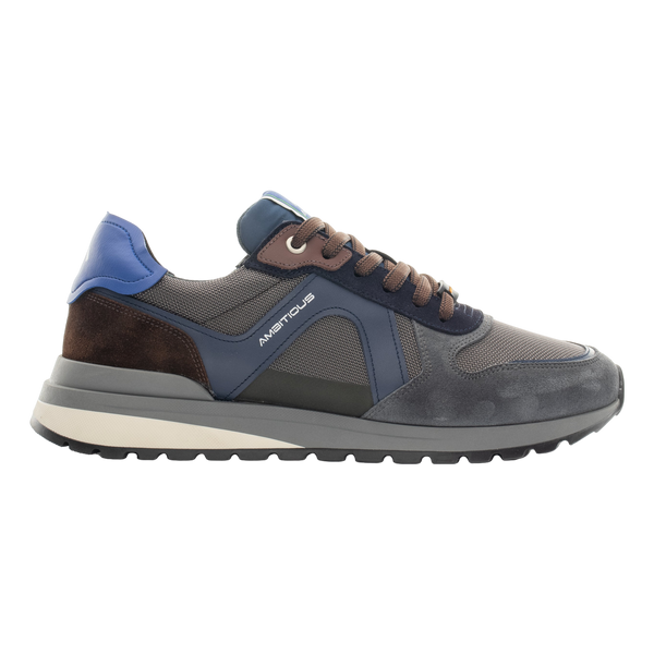 Ambitious Teddy Trainers
