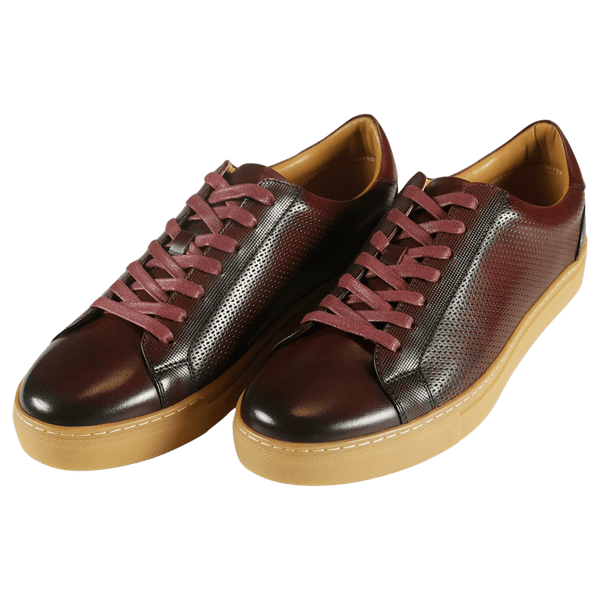 Azor Phoenix Shoes