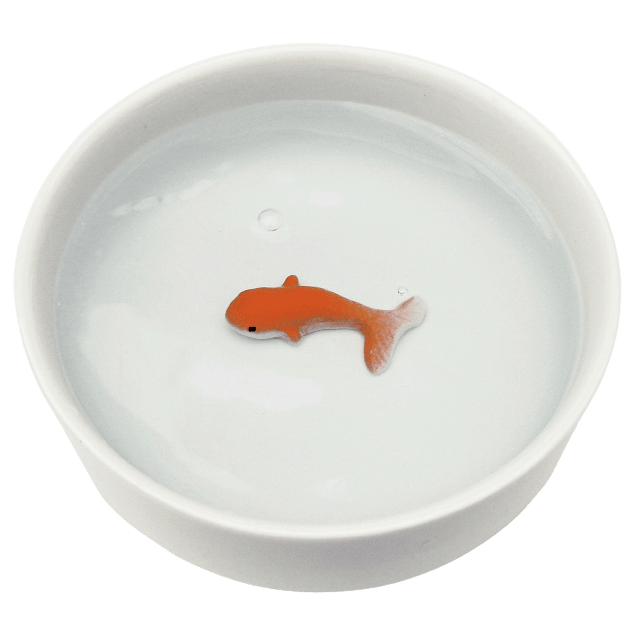 Fish cat bowl deals