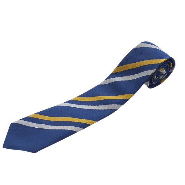 Colchester High School House Colours Tie – Royal (Squirrels/ Normans)