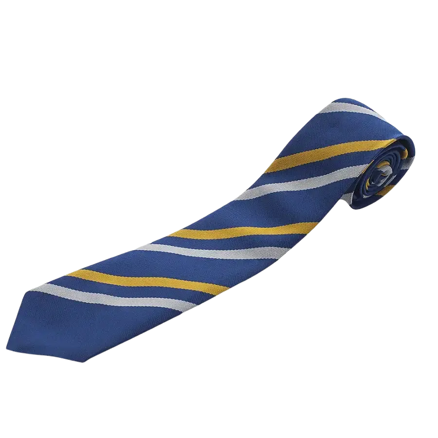 CP&HS House Colours Tie – Royal