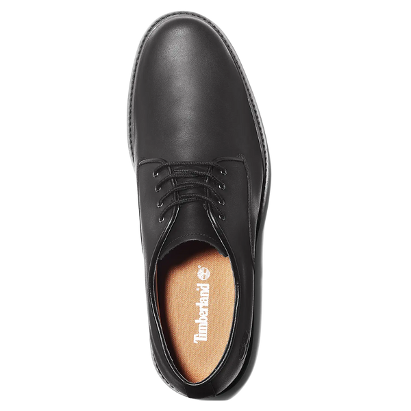 Timberland Stormbuck Oxford Shoes for Men