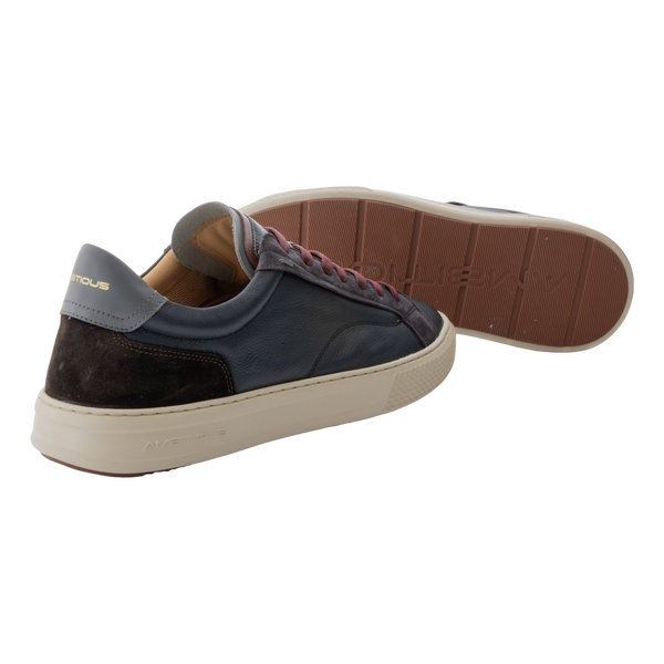 Ambitious Anopolis Trainers