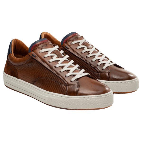 Ambitious Anopolis Leather Trainers