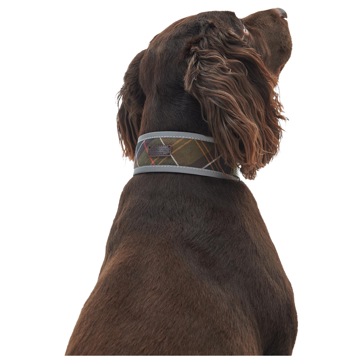 Barbour reflective tartan dog top collar