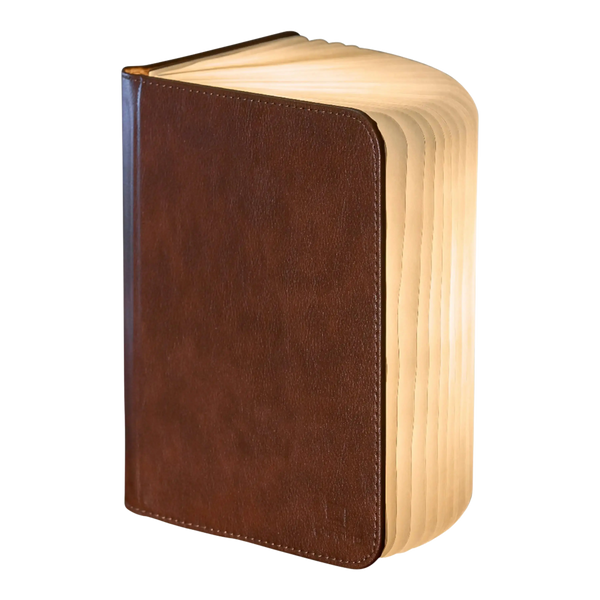 Gingko Small Leather Book Light