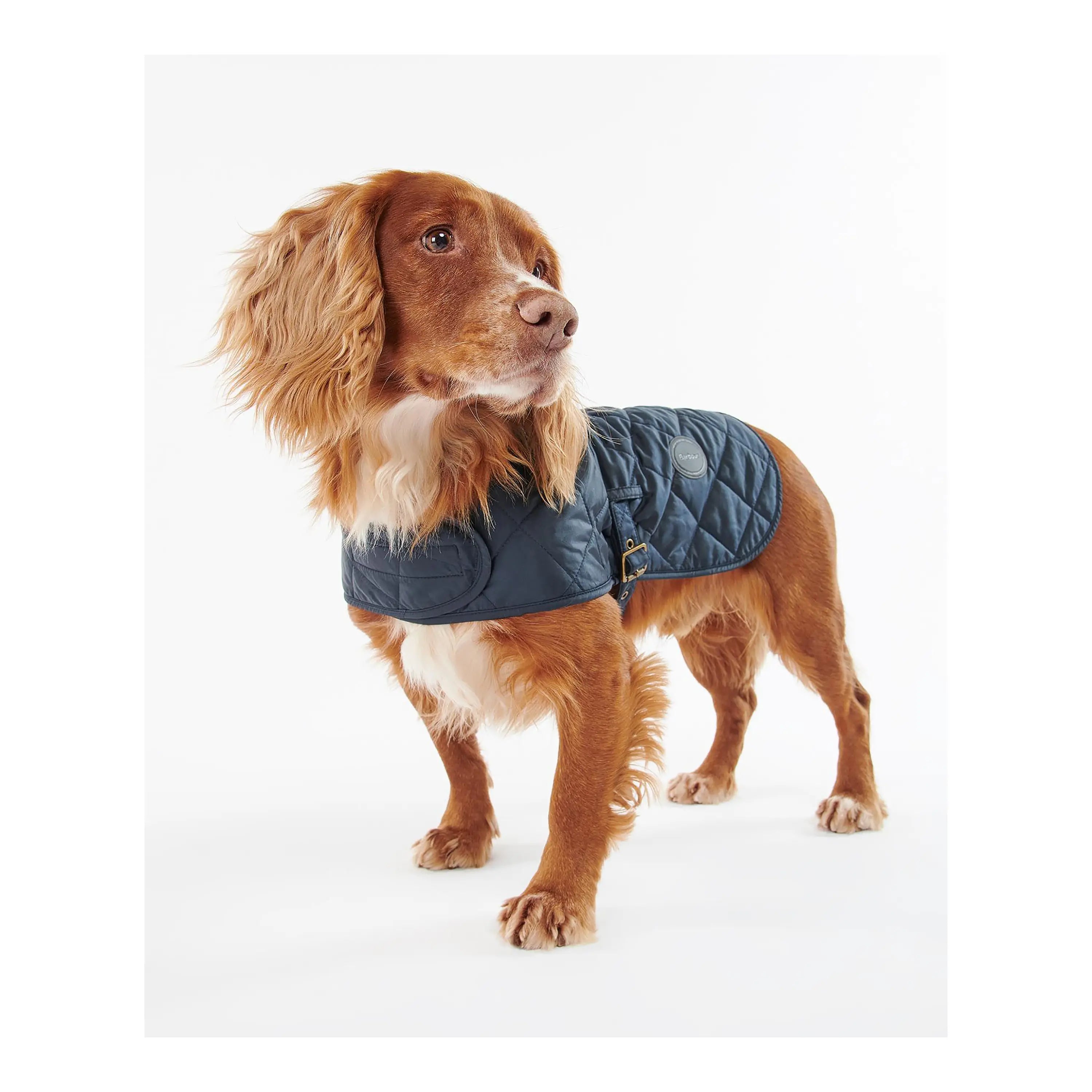 Barbour quilted top dog jacket