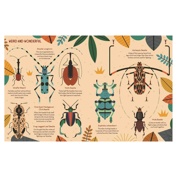 Bonkers About Beetles by Owen Davey