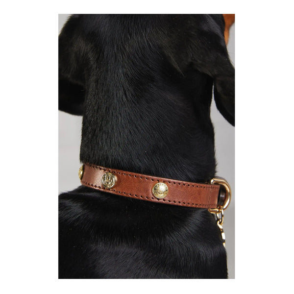 Holland Cooper Small Dog Collar