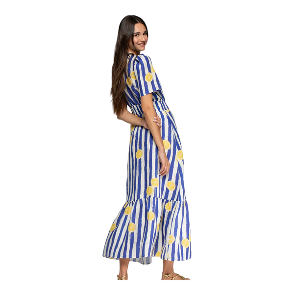 Vilagallo Printed Dress
