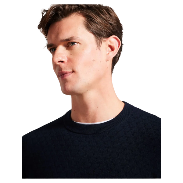 Ted Baker Loung Crew Neck Jumper for Men