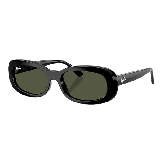 Ray-Ban 0rb2221 Sunglasses