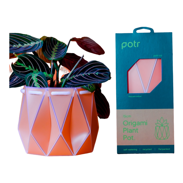 POTR 15cm Self Watering Pot