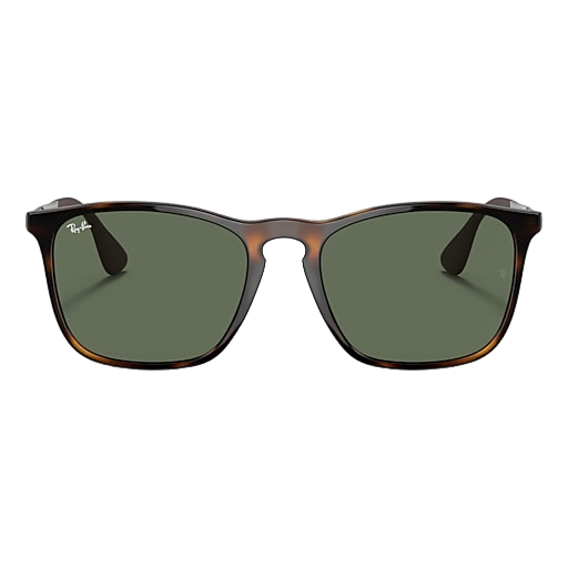 Ray-Ban Chris Sunglasses