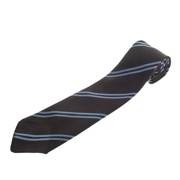 Ipswich School Felaw House Colours Tie