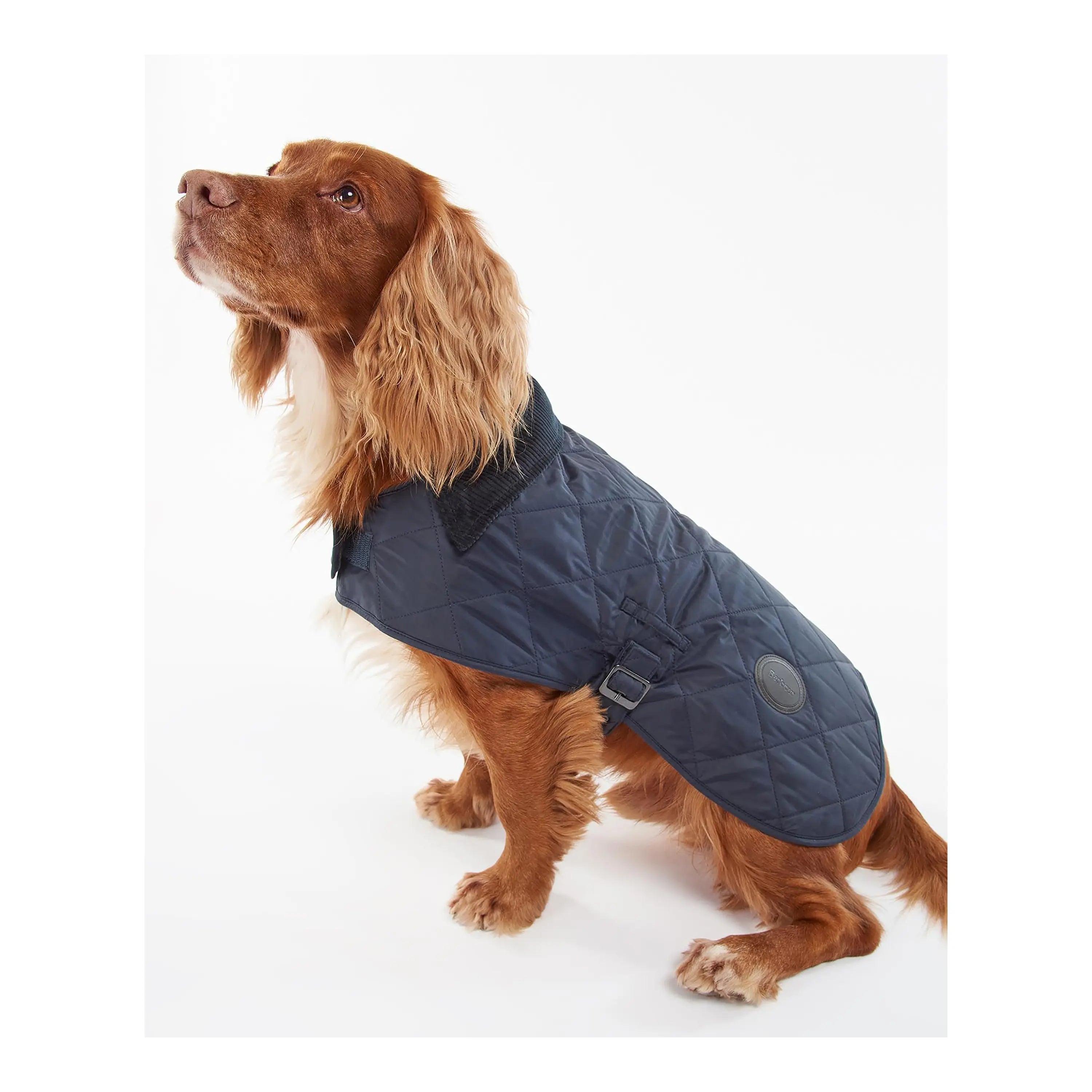 Barbour Quilted Dog Coat Coes