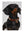 Holland Cooper Small Dog Collar