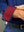 imagepopulate1