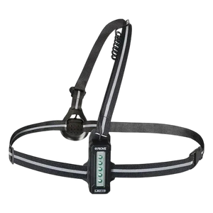 Proviz Running Chest Light 500 Lumens