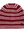 imagepopulate1