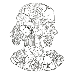 imagepopulate1
