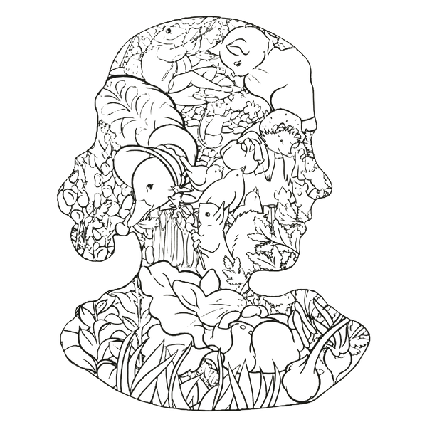 imagepopulate1