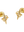 imagepopulate1