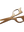 imagepopulate1