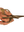 imagepopulate1