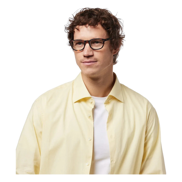 imagepopulate1