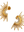 imagepopulate1
