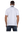 Raging Bull Plain Polo  for Men in White