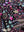 imagepopulate1