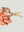 imagepopulate1