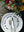 imagepopulate1