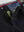 Meyer Dublin Jeans for Men in Black