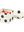 imagepopulate1