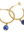 imagepopulate1